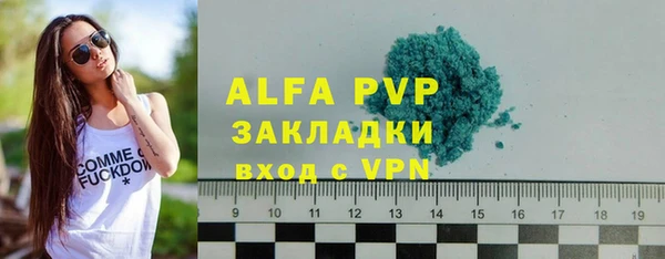 стафф Алзамай
