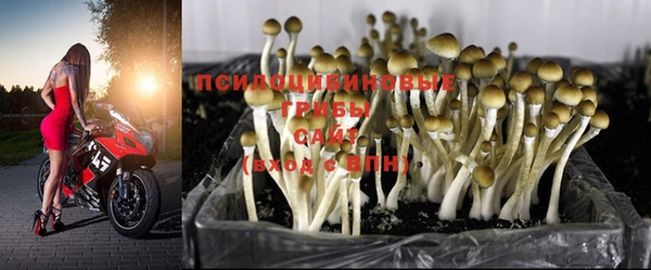 MDMA Premium VHQ Армянск